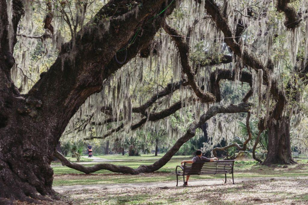 Top 5 Things to Do in New Orleans - Stay Heirloom